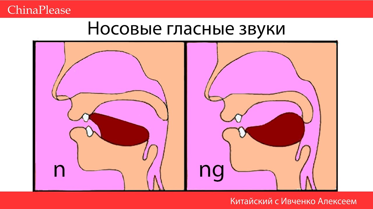 Китайский язык с нуля. Урок 4 - Учим звуки! an-en-in-un-ün / ang-eng-ing-ong