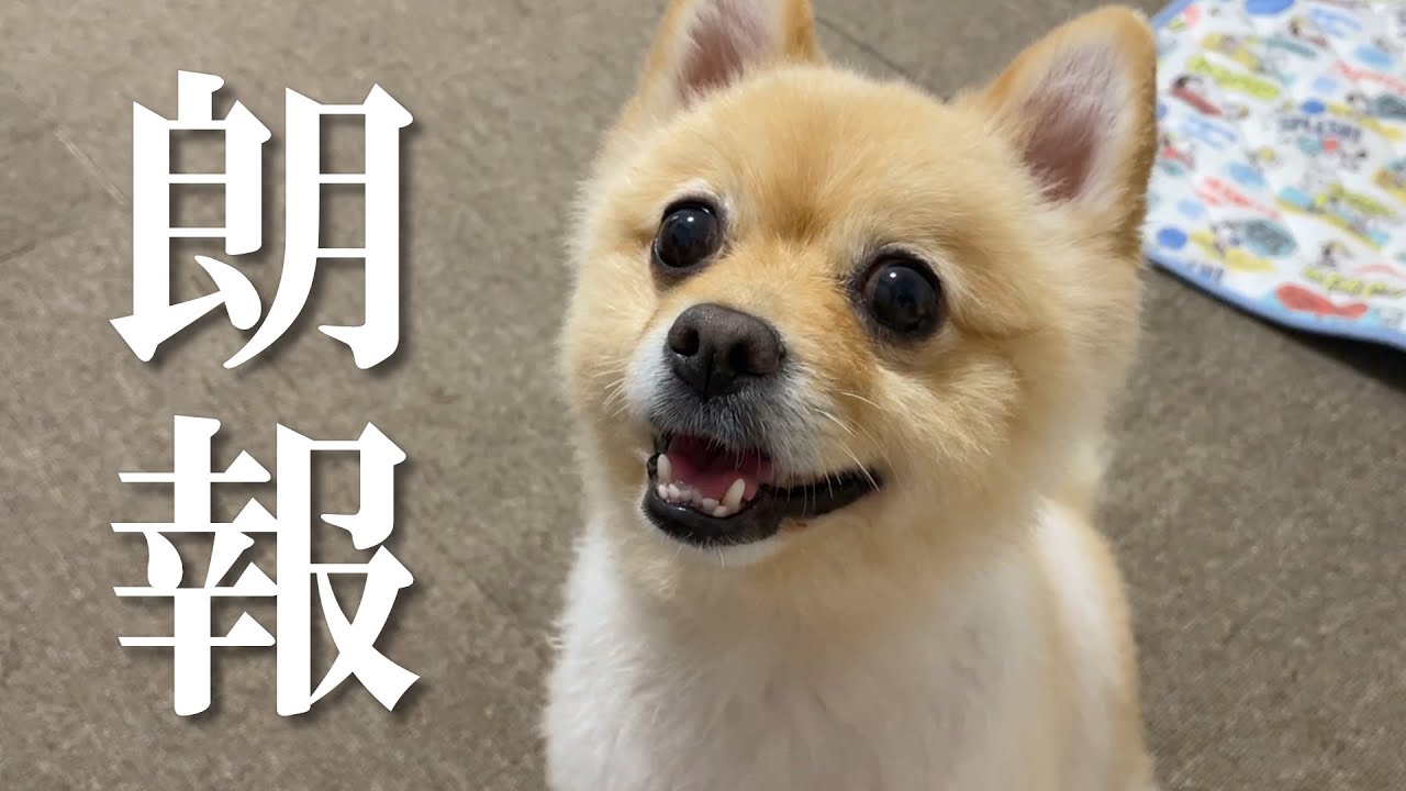 【朗報】手術から一ヶ月半、大怪我を乗り越えることができました！