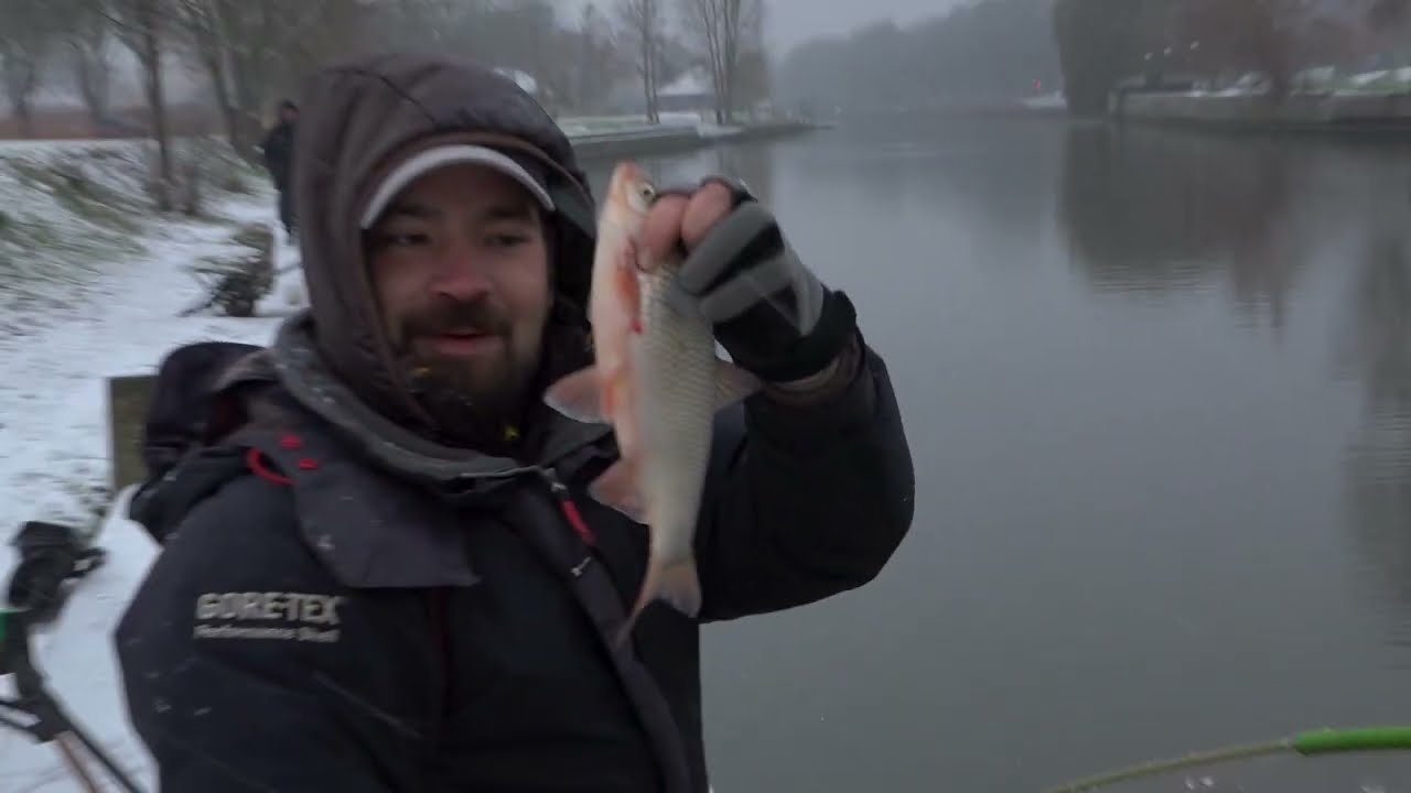 Danė plūdine žiemą. TV