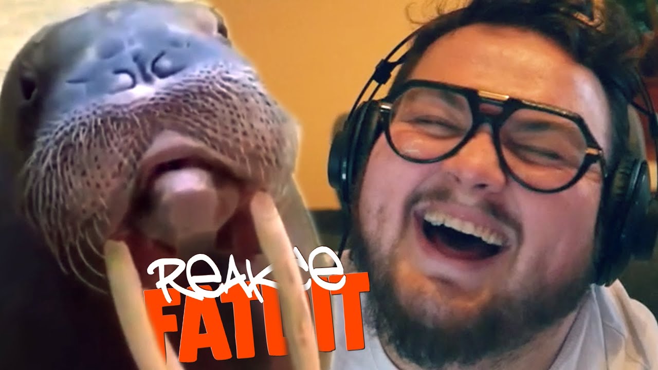 UMÍ MROŽI PÍSKAT???