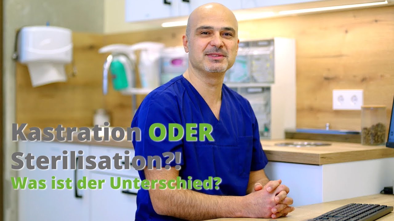 Kastration oder Sterilisation – was ist der Unterschied?
