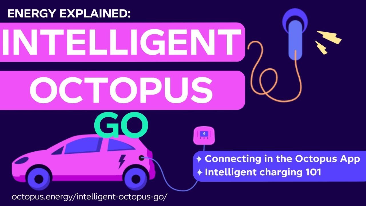 Интеллектуальная зарядка Octopus Go EV 101