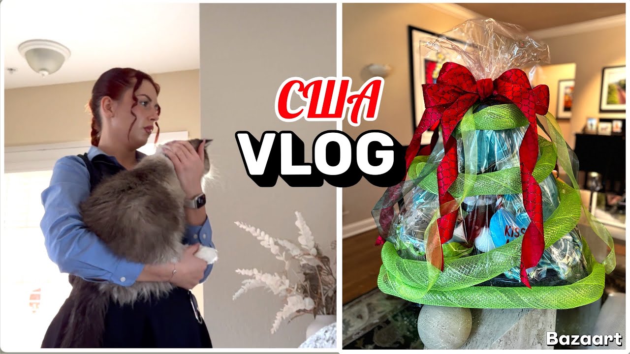 США Влог Подарок для Джерри Семейный Влог USA VLOG
