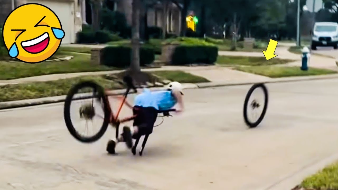 Try Not To Laugh Challenge 😆 Best Funny video of the Week 🤣 PART 10