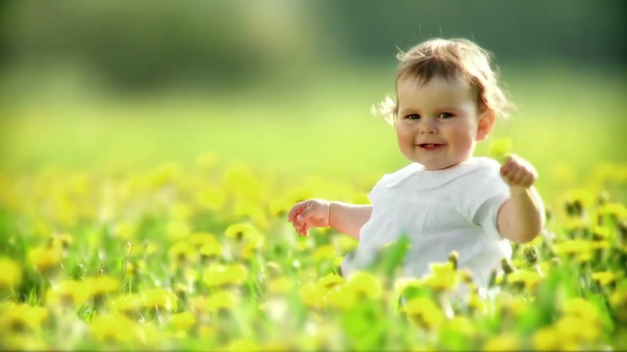 Melaleuca: Where Nature Inspires Wellness | The Story of The Wellness Company