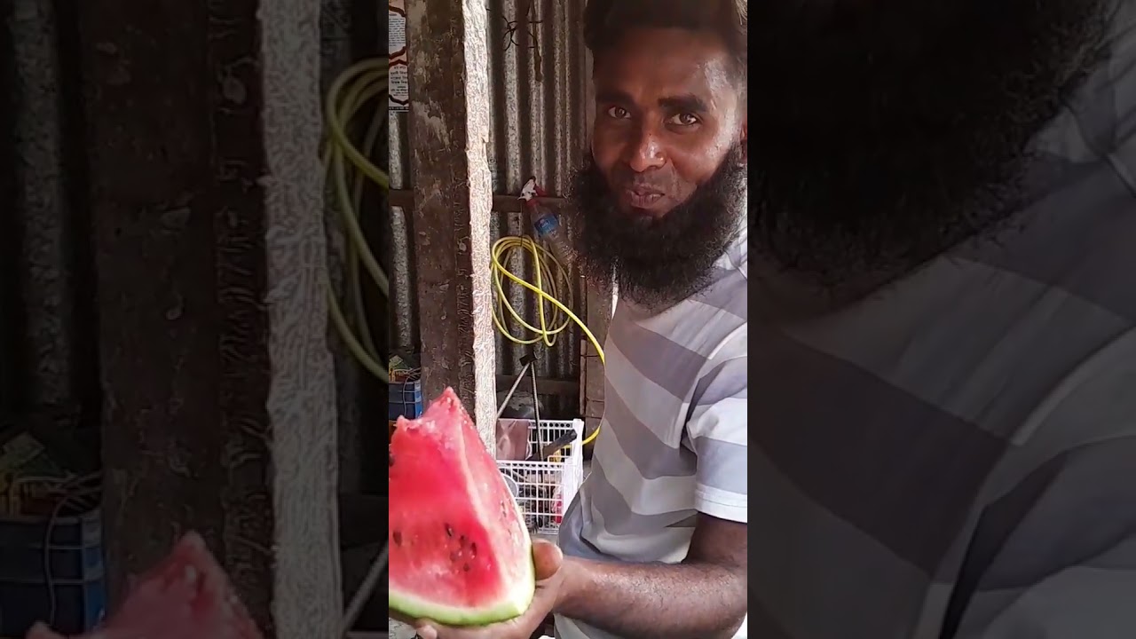 শেষমেশ যেমন হল এই তরমুজটি || sweet red watermelon of Bangladesh