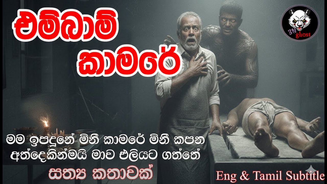 මරණ තුනක් එම්බාම් කළ ඒ මූසල රාත්‍රියේ සිදු වූ දේ  | 3N Ghost Holman Katha | story 498