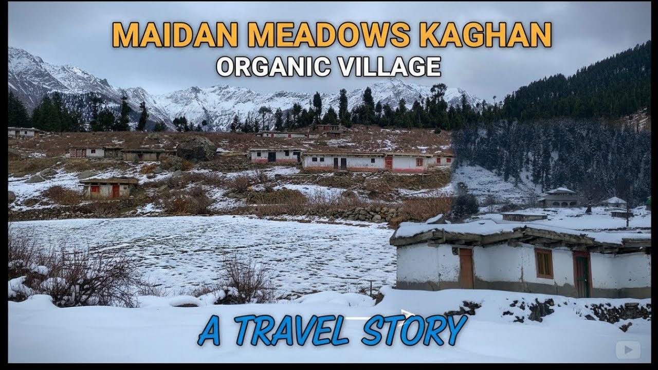 Maidan Meadows Kaghan | Organic Village In Kaghan Valley | A Teling Story Video By Adil Kaghanvi | 