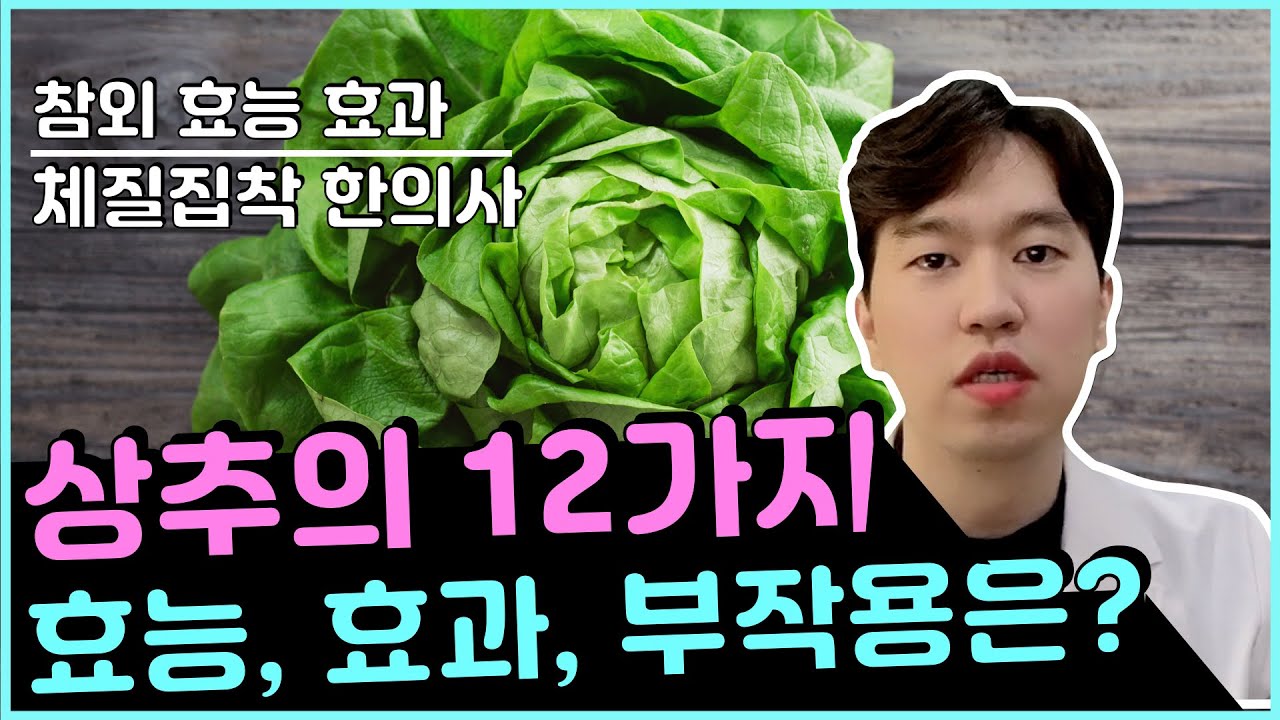 상추 12가지 효능 효과 부작용 주의사항ㅣ상추를 먹으면 해로운 체질은?