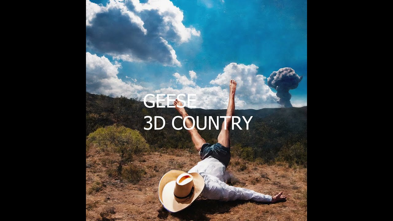 Geese - 3D Country (Karaoke with Backing Vocals)