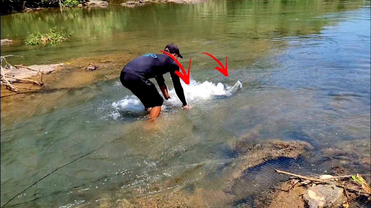 Como agarrar um peixe desse tamanho... #peixeassado 🔥