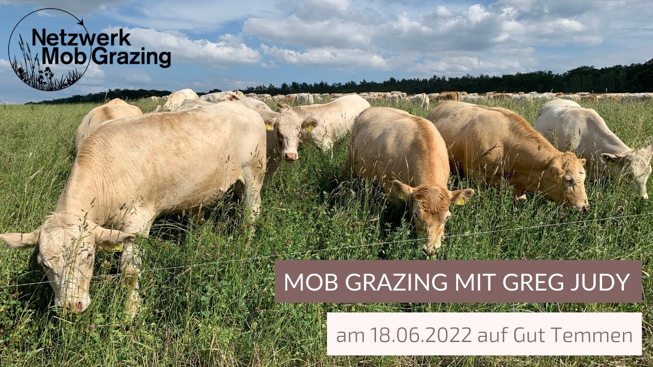 Mob Grazing Workshop mit Greg Judy auf dem Gut Temmen