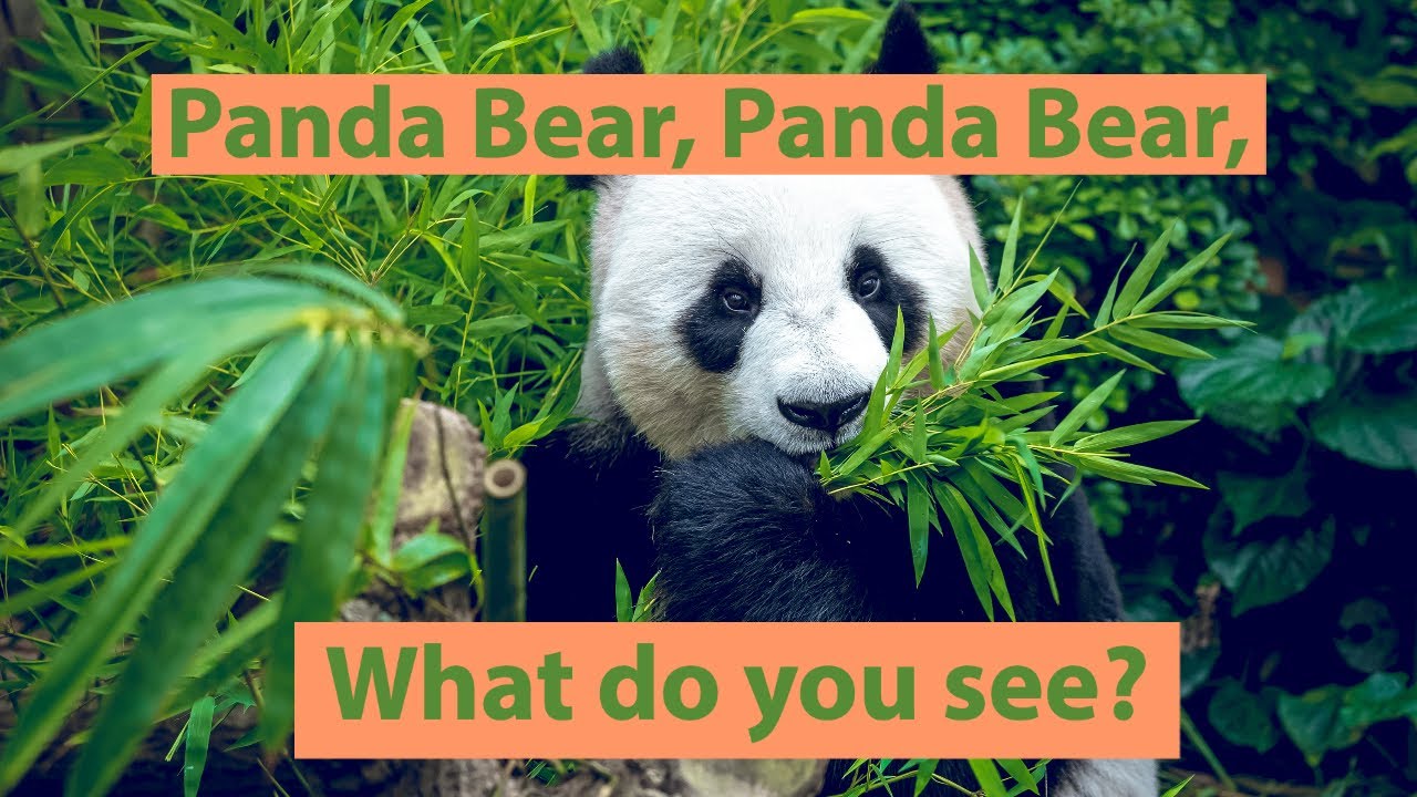 Panda Bear, Panda Bear, What do you see? (Read Aloud)