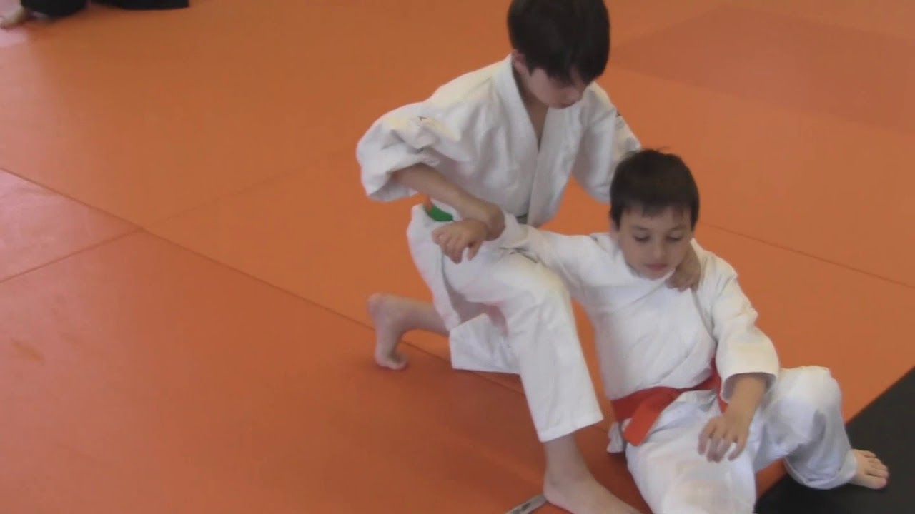 Cours Aïkido Aïkiken enfants Adostous niveaux