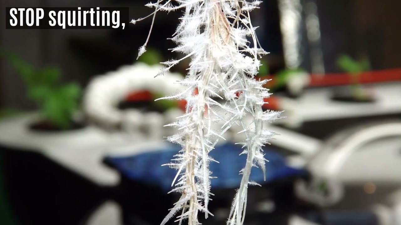 A New Kind of Grow Shop | Multiponics