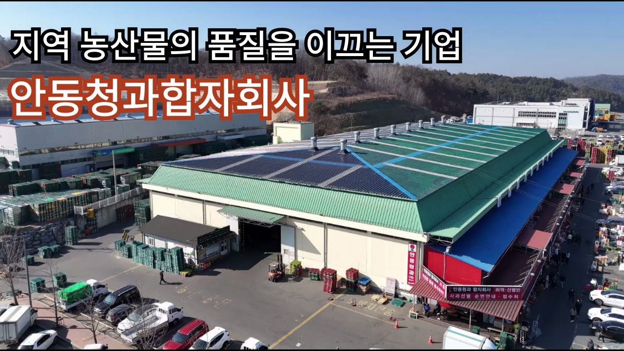 안동청과합자회사와 함께하는 농산물 유통 혁신l지역 농산물의 품질을 이끄는 기업