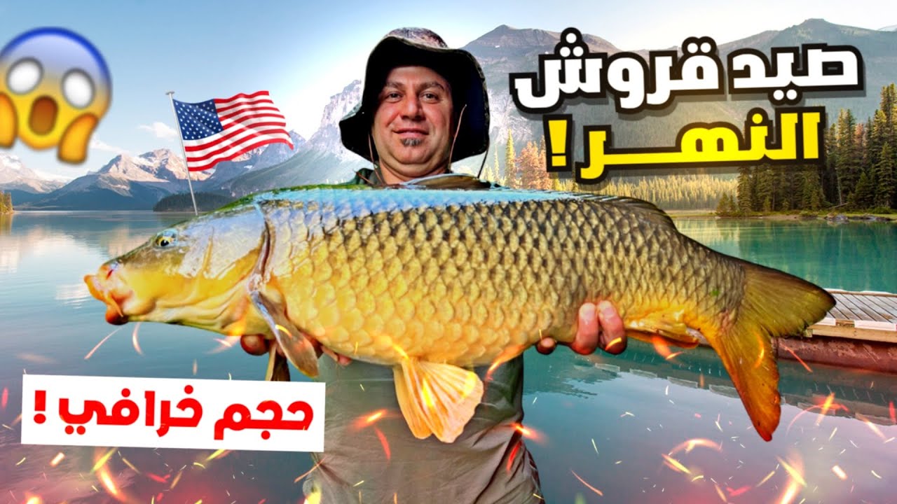 صيد سمك الكارب احجام كبيرة جدا في غابات امريكا
