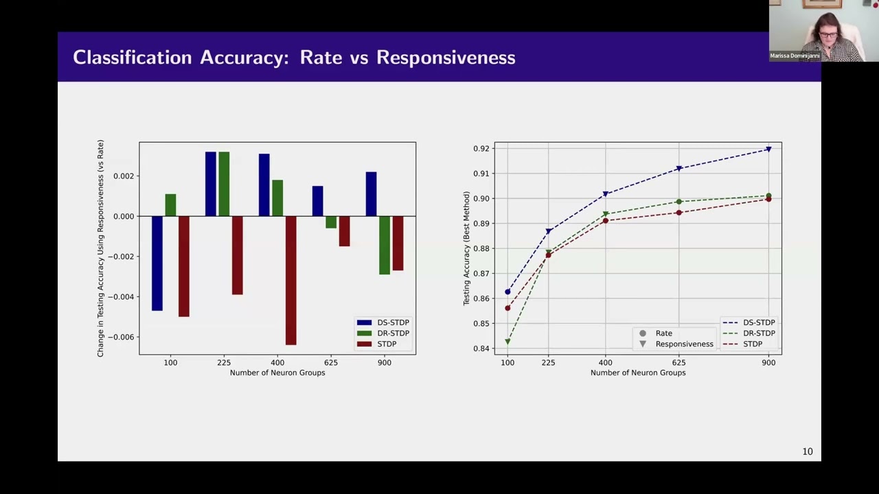 Marissa Dominijanni - Extending Spike-Timing Dependent Plasticity to Learning Synaptic Delays