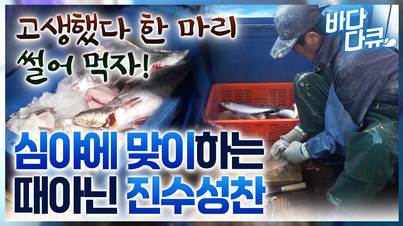 진짜 고생했다. 한 마리 썰어 먹자! 고기가 뜸해진 틈을 타 서둘러 식사를 준비하는 30년 차 어부 솜씨/ #바다다큐