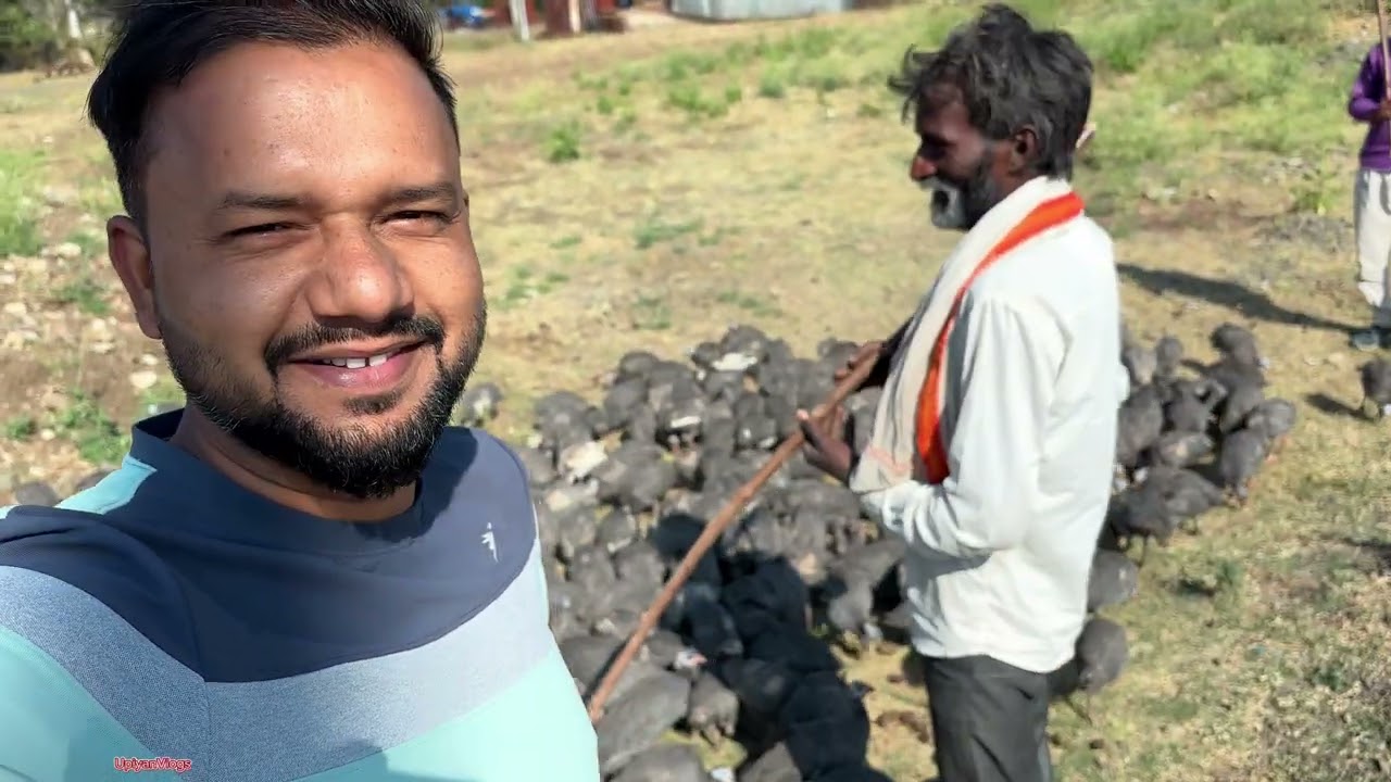 चिनी मुर्गी वाले आये up से नागपूर में 😍, up vlogger in maharashtra ❤️.