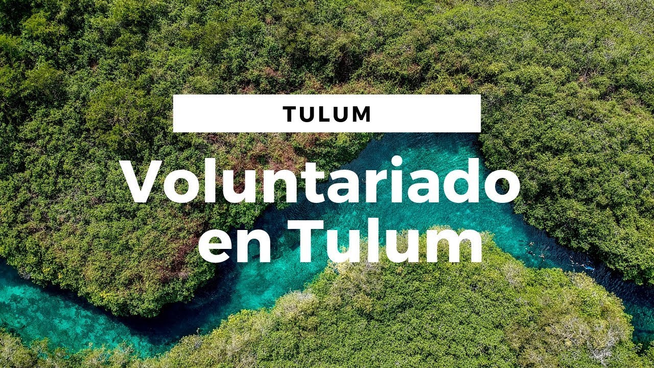 Presupuesto Tulum y Experiencia con Worldpackers || Voluntariado #7