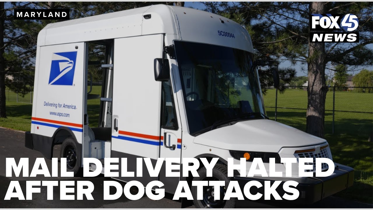 No mail for months after dog attacks USPS carrier