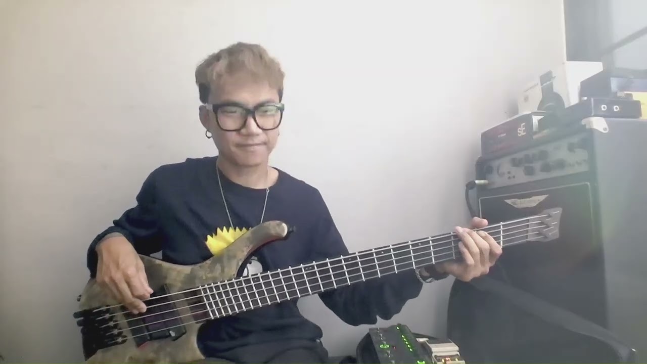 unstoppable:Sia {BASS COVER}