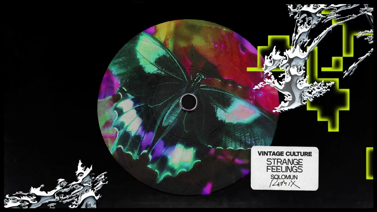 Vintage Culture - Strange Feelings (Solomun Remix)
