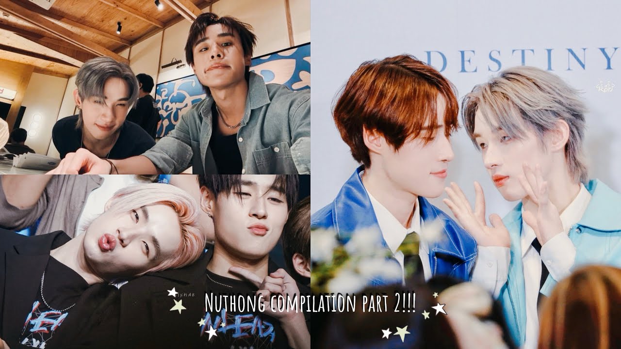 Nuthong compilation part 2 🥜🍦|| #nuthong 