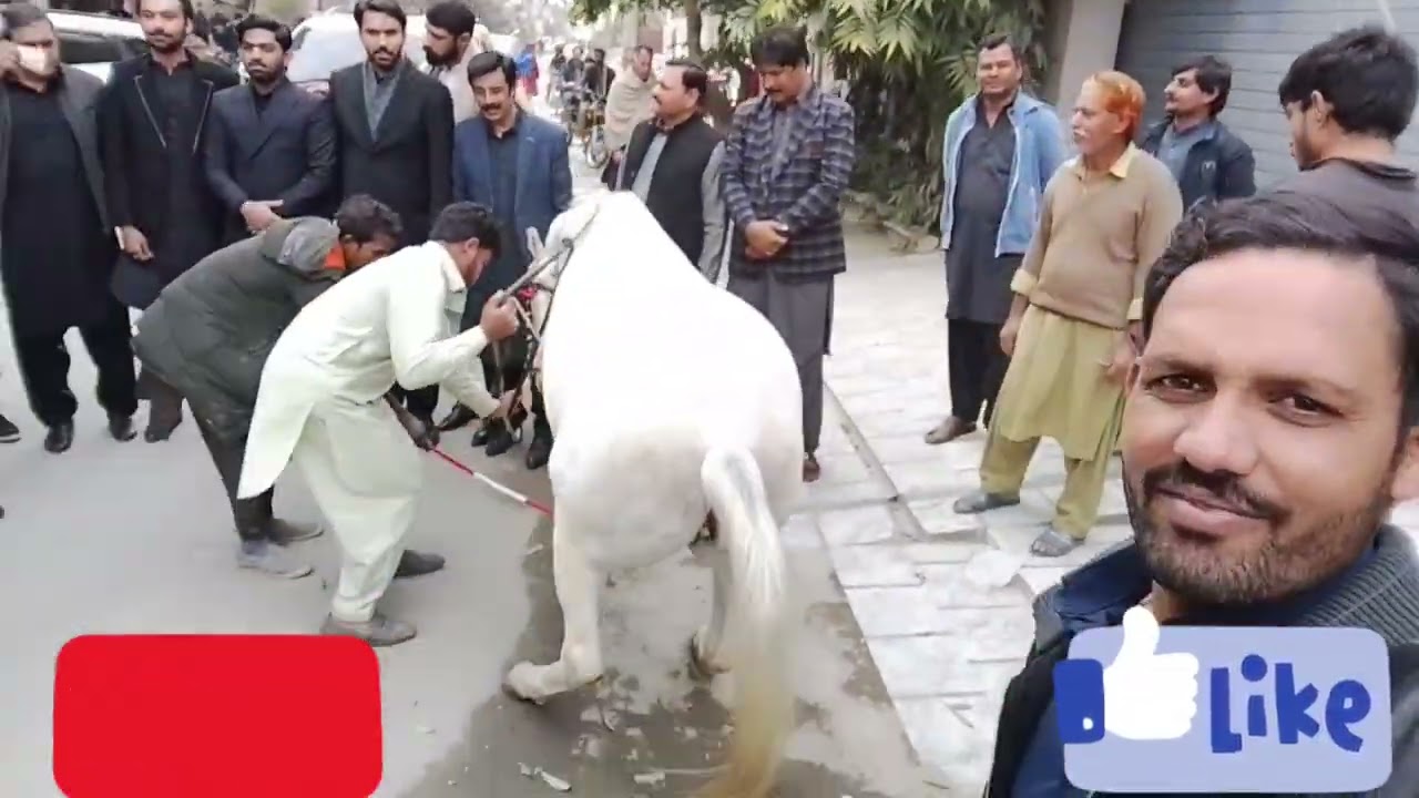 #lifeisbutadream Sani park ka accident Faisal 🔥Malik khokhar🐅🐅