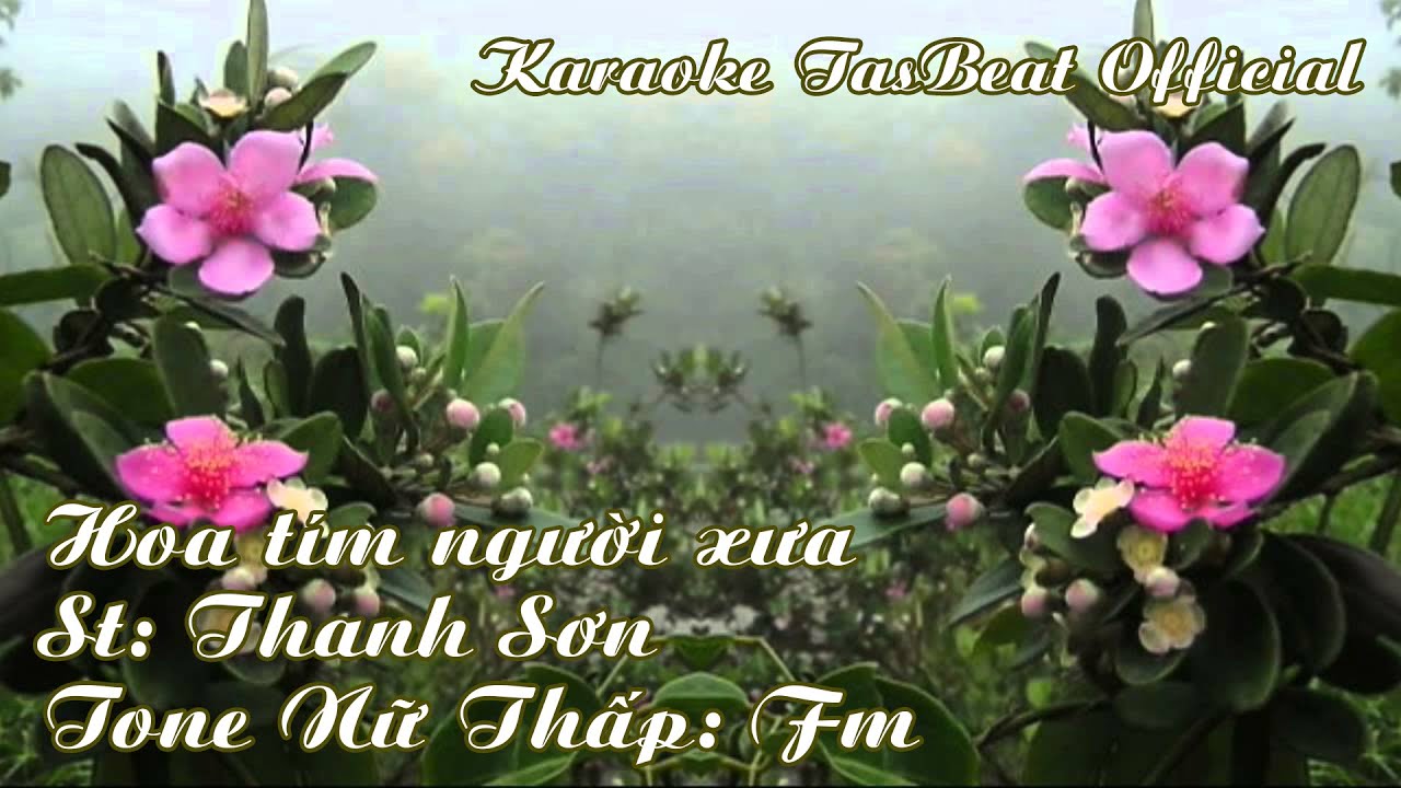 Karaoke Hoa Tím Người Xưa - Tone Nữ Thấp | TAS BEAT