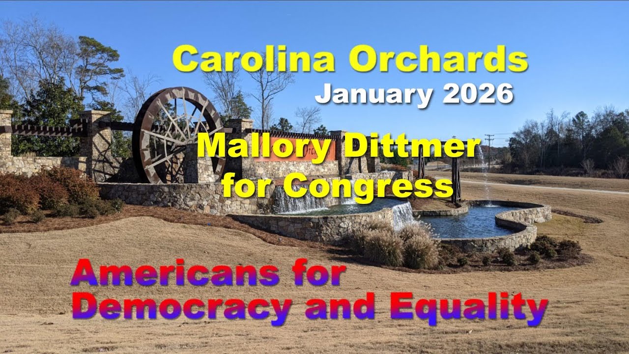 CO ADE January 2026 Meeting: Dittmer for Congress