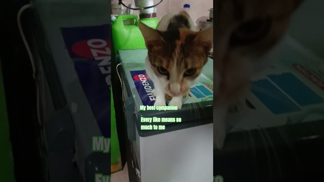 Каждый лайк для меня очень много значит.