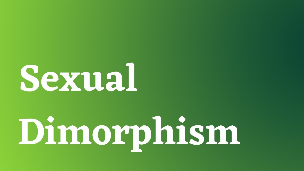 What is Sexual Dimorphism?