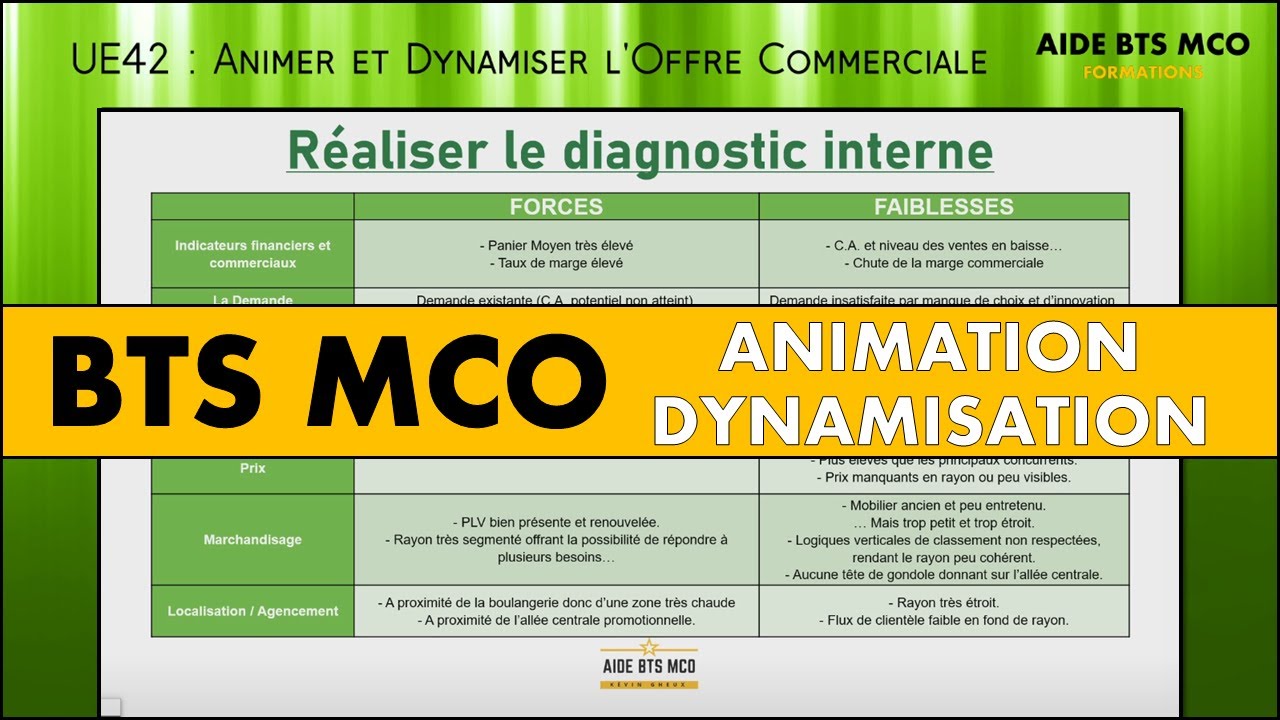 AIDE BTS MCO | Comment faire un diagnostic interne ? | ANIMATION et DYNAMISATION