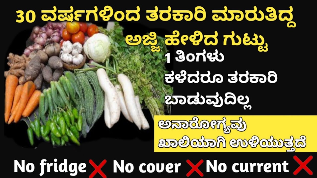 👉ಈಗ ವಿದ್ಯುತ್ ಇಲ್ಲದೆ ತರಕಾರಿಗಳನ್ನು ನೀರಿನಲ್ಲಿ ಹಾಕಿ😱 kitchen tips/money saving tips