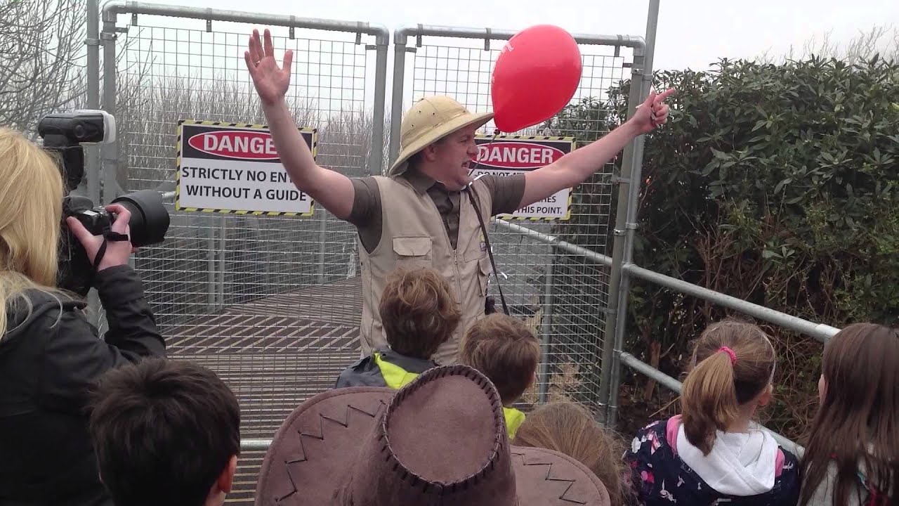 Restricted Area 5 Opening at Blackgang Chine