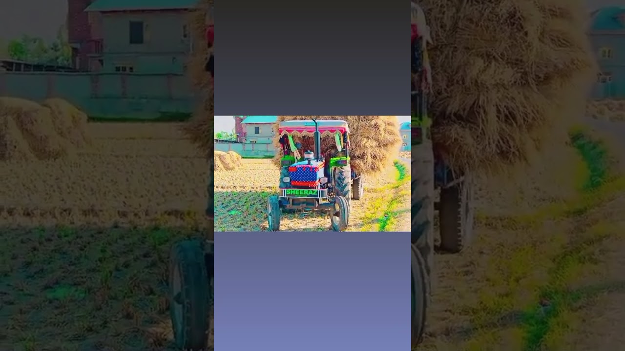 yah va jihen hai 