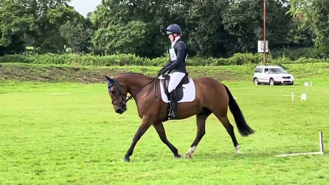 Cotswold Cup Test CC82