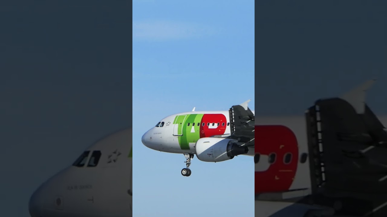 TAP Air Airbus: Close-Up Smooth Landing in 30 Seconds - Aviation Marvel!