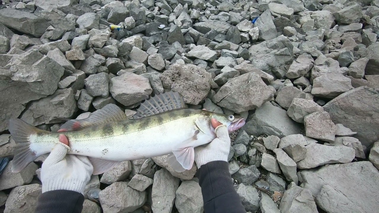 Salau,Pescuit la Salau,street fishing