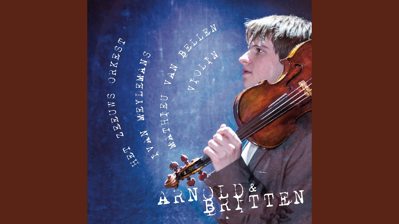 Violin Concerto in D Minor, Op. 15: I. Moderato con moto (Live)