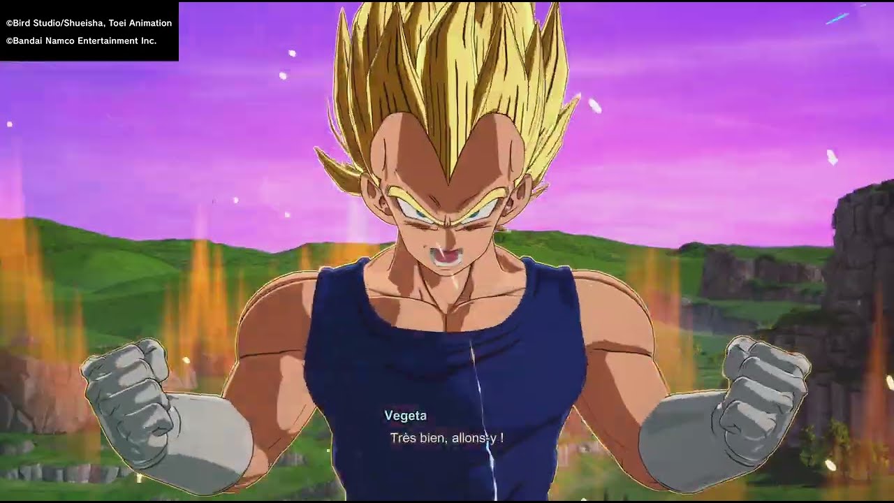 Si je meur avec tous les vegeta la vidéo s'arrêtte