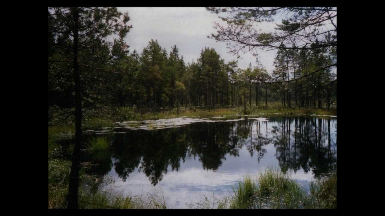 Visa vid midsommartid - Lars Andersson (Lasse Luta)