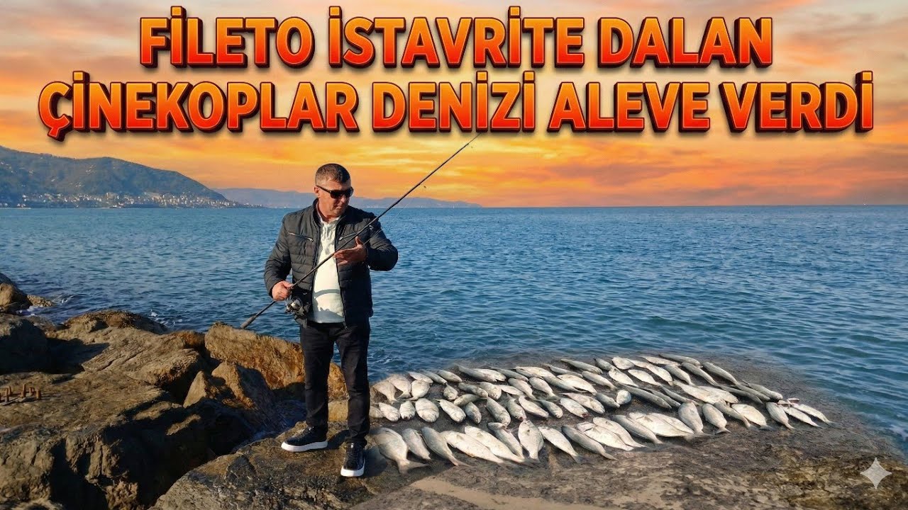 FİLETO İSTAVRİTE DALAN ÇİNEKOPLAR DENİZİ ALEVE VERDİ! İKİLİ ASANSÖR TAKIM ⚓ SU KUNDUZU  🎣