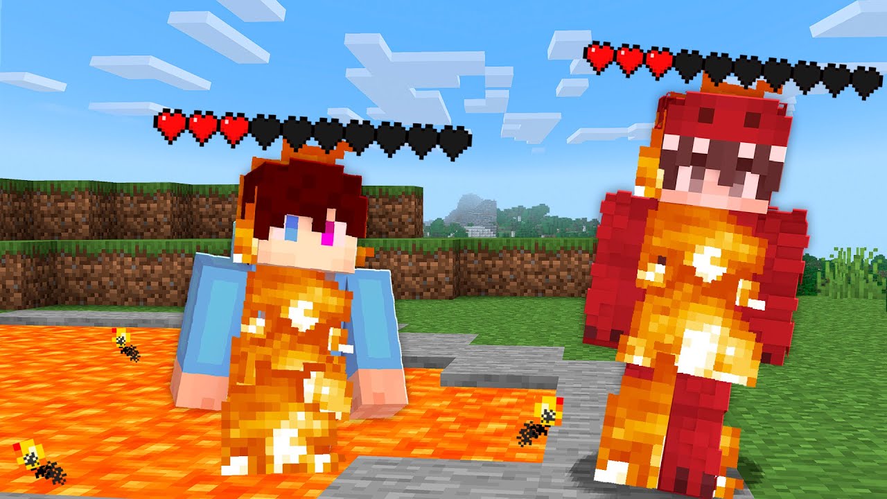 Minecraft Maar We Delen Onze Levens