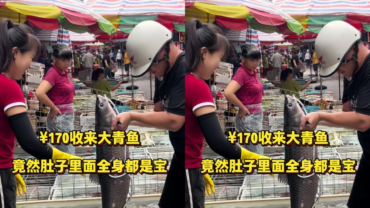 花170块钱收回来的大青鱼，竟然肚子里面全都是宝贝！