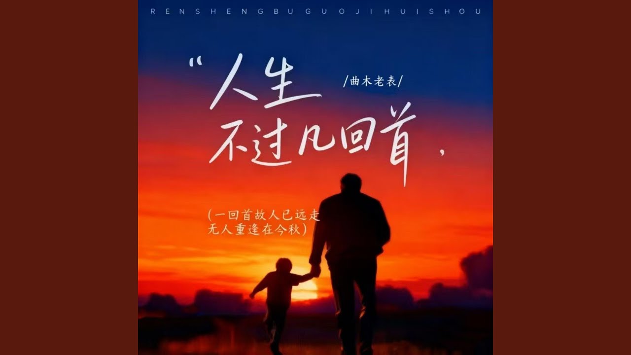 人生不过几回首 (DJ豪大大版)