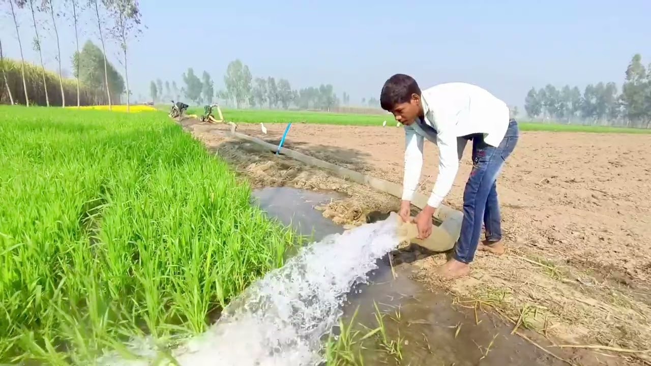 DESI LIFE ENJOY GAON MEIN RAHANE KA MAJA HI KUCHH ALAG HAI