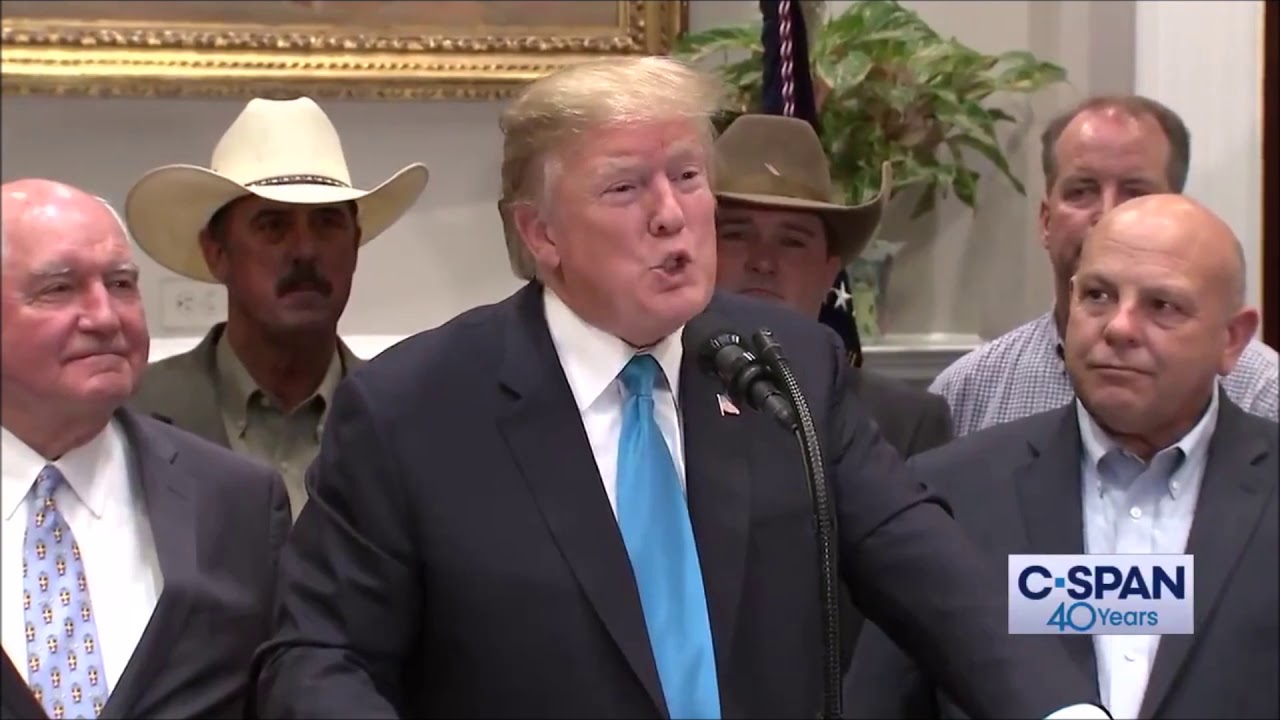 TRUMP - EXTREMELY STABLE GENIUS